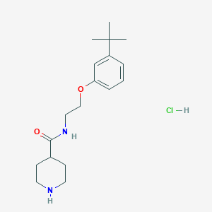 molecular formula C18H29ClN2O2 B6658037 N-[2-(3-tert-butylphenoxy)ethyl]piperidine-4-carboxamide;hydrochloride 