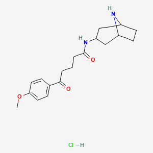 molecular formula C19H27ClN2O3 B6659719 N-(8-azabicyclo[3.2.1]octan-3-yl)-5-(4-methoxyphenyl)-5-oxopentanamide;hydrochloride 