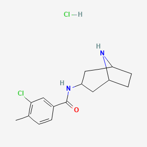 molecular formula C15H20Cl2N2O B6659726 N-(8-azabicyclo[3.2.1]octan-3-yl)-3-chloro-4-methylbenzamide;hydrochloride 