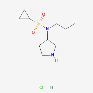 molecular formula C10H21ClN2O2S B6660937 N-propyl-N-pyrrolidin-3-ylcyclopropanesulfonamide;hydrochloride 