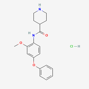 molecular formula C19H23ClN2O3 B6665628 N-(2-methoxy-4-phenoxyphenyl)piperidine-4-carboxamide;hydrochloride 
