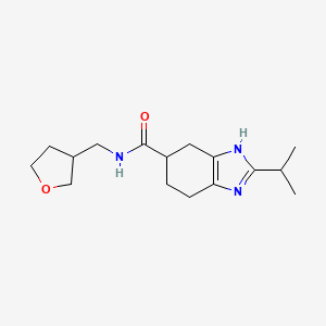 molecular formula C16H25N3O2 B6669293 N-(oxolan-3-ylmethyl)-2-propan-2-yl-4,5,6,7-tetrahydro-3H-benzimidazole-5-carboxamide 