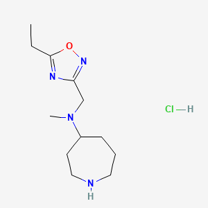 molecular formula C12H23ClN4O B6675012 N-[(5-ethyl-1,2,4-oxadiazol-3-yl)methyl]-N-methylazepan-4-amine;hydrochloride 