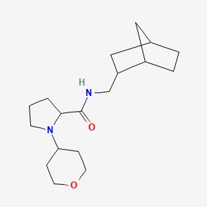 molecular formula C18H30N2O2 B6702338 N-(2-bicyclo[2.2.1]heptanylmethyl)-1-(oxan-4-yl)pyrrolidine-2-carboxamide 