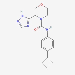 molecular formula C17H21N5O2 B6704283 N-(4-cyclobutylphenyl)-3-(1H-1,2,4-triazol-5-yl)morpholine-4-carboxamide 