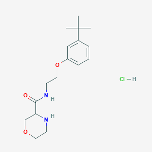 molecular formula C17H27ClN2O3 B6704699 N-[2-(3-tert-butylphenoxy)ethyl]morpholine-3-carboxamide;hydrochloride 