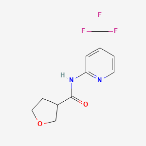 molecular formula C11H11F3N2O2 B6704922 N-[4-(trifluoromethyl)pyridin-2-yl]oxolane-3-carboxamide 