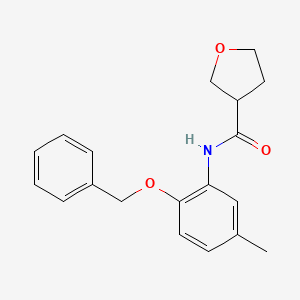 molecular formula C19H21NO3 B6708042 N-(5-methyl-2-phenylmethoxyphenyl)oxolane-3-carboxamide 