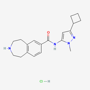 molecular formula C19H25ClN4O B6716861 N-(5-cyclobutyl-2-methylpyrazol-3-yl)-2,3,4,5-tetrahydro-1H-3-benzazepine-7-carboxamide;hydrochloride 