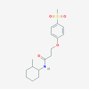 molecular formula C17H25NO4S B6720884 N-(2-methylcyclohexyl)-3-(4-methylsulfonylphenoxy)propanamide 