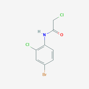 molecular formula C8H6BrCl2NO B067282 N-(4-bromo-2-chlorophenyl)-2-chloroacetamide CAS No. 195372-57-7