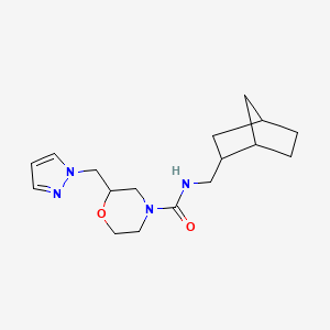 molecular formula C17H26N4O2 B6752572 N-(2-bicyclo[2.2.1]heptanylmethyl)-2-(pyrazol-1-ylmethyl)morpholine-4-carboxamide 