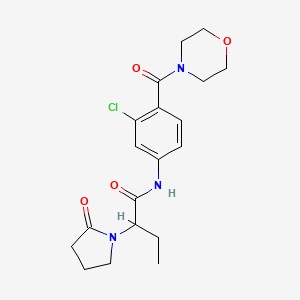 molecular formula C19H24ClN3O4 B6754548 N-[3-chloro-4-(morpholine-4-carbonyl)phenyl]-2-(2-oxopyrrolidin-1-yl)butanamide 