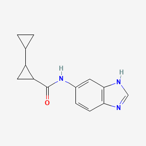 molecular formula C14H15N3O B6755822 N-(3H-benzimidazol-5-yl)-2-cyclopropylcyclopropane-1-carboxamide 