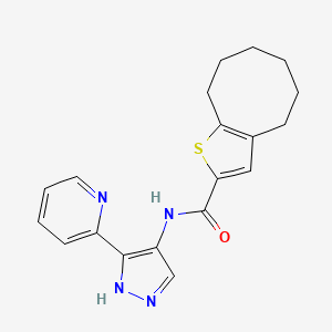 molecular formula C19H20N4OS B6758060 N-(5-pyridin-2-yl-1H-pyrazol-4-yl)-4,5,6,7,8,9-hexahydrocycloocta[b]thiophene-2-carboxamide 