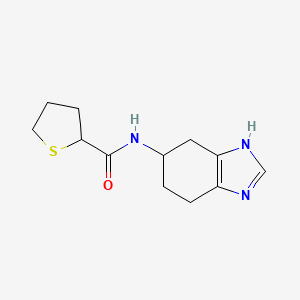 molecular formula C12H17N3OS B6758735 N-(4,5,6,7-tetrahydro-3H-benzimidazol-5-yl)thiolane-2-carboxamide 