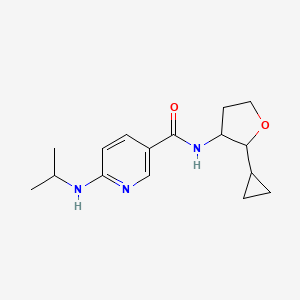 molecular formula C16H23N3O2 B6760783 N-(2-cyclopropyloxolan-3-yl)-6-(propan-2-ylamino)pyridine-3-carboxamide 