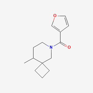molecular formula C14H19NO2 B6762396 Furan-3-yl-(9-methyl-6-azaspiro[3.5]nonan-6-yl)methanone 