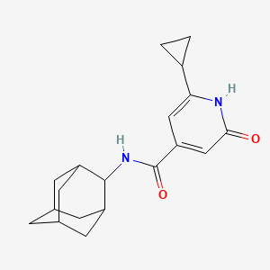 molecular formula C19H24N2O2 B6767824 N-(2-adamantyl)-2-cyclopropyl-6-oxo-1H-pyridine-4-carboxamide 