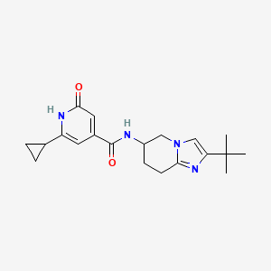 molecular formula C20H26N4O2 B6767883 N-(2-tert-butyl-5,6,7,8-tetrahydroimidazo[1,2-a]pyridin-6-yl)-2-cyclopropyl-6-oxo-1H-pyridine-4-carboxamide 
