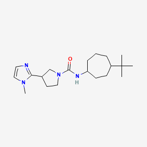 molecular formula C20H34N4O B6770987 N-(4-tert-butylcycloheptyl)-3-(1-methylimidazol-2-yl)pyrrolidine-1-carboxamide 