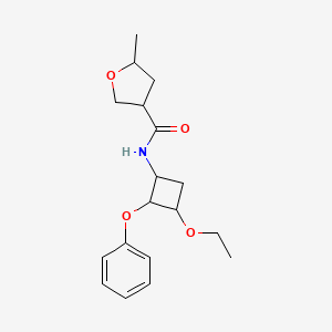 molecular formula C18H25NO4 B6771508 N-(3-ethoxy-2-phenoxycyclobutyl)-5-methyloxolane-3-carboxamide 
