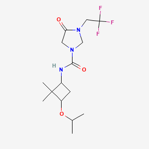 molecular formula C15H24F3N3O3 B6773580 N-(2,2-dimethyl-3-propan-2-yloxycyclobutyl)-4-oxo-3-(2,2,2-trifluoroethyl)imidazolidine-1-carboxamide 