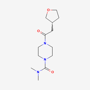molecular formula C13H23N3O3 B6773613 N,N-dimethyl-4-[2-[(3R)-oxolan-3-yl]acetyl]piperazine-1-carboxamide 