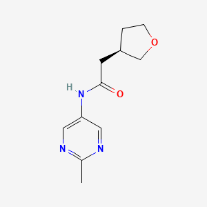 molecular formula C11H15N3O2 B6773617 N-(2-methylpyrimidin-5-yl)-2-[(3R)-oxolan-3-yl]acetamide 
