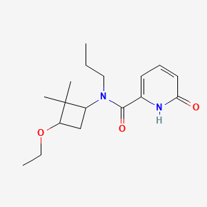 molecular formula C17H26N2O3 B6777587 N-(3-ethoxy-2,2-dimethylcyclobutyl)-6-oxo-N-propyl-1H-pyridine-2-carboxamide 