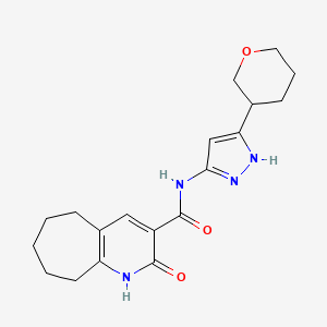 molecular formula C19H24N4O3 B6778034 N-[5-(oxan-3-yl)-1H-pyrazol-3-yl]-2-oxo-1,5,6,7,8,9-hexahydrocyclohepta[b]pyridine-3-carboxamide 