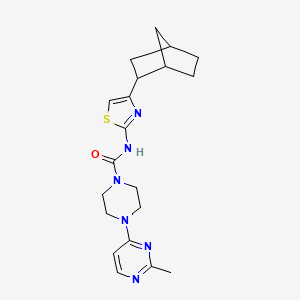 molecular formula C20H26N6OS B6780673 N-[4-(2-bicyclo[2.2.1]heptanyl)-1,3-thiazol-2-yl]-4-(2-methylpyrimidin-4-yl)piperazine-1-carboxamide 
