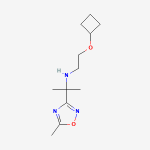 molecular formula C12H21N3O2 B6786939 N-(2-cyclobutyloxyethyl)-2-(5-methyl-1,2,4-oxadiazol-3-yl)propan-2-amine 