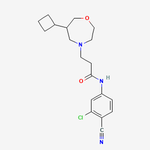 molecular formula C19H24ClN3O2 B6791102 N-(3-chloro-4-cyanophenyl)-3-(6-cyclobutyl-1,4-oxazepan-4-yl)propanamide 