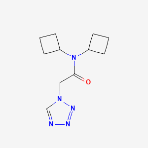 molecular formula C11H17N5O B6791231 N,N-di(cyclobutyl)-2-(tetrazol-1-yl)acetamide 