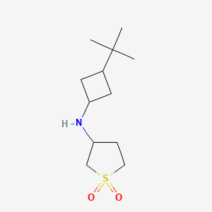 molecular formula C12H23NO2S B6792791 N-(3-tert-butylcyclobutyl)-1,1-dioxothiolan-3-amine 