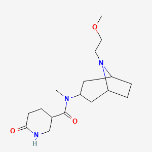 molecular formula C17H29N3O3 B6793443 N-[8-(2-methoxyethyl)-8-azabicyclo[3.2.1]octan-3-yl]-N-methyl-6-oxopiperidine-3-carboxamide 