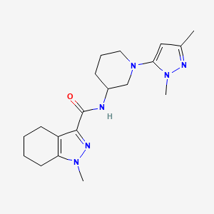 molecular formula C19H28N6O B6795146 N-[1-(2,5-dimethylpyrazol-3-yl)piperidin-3-yl]-1-methyl-4,5,6,7-tetrahydroindazole-3-carboxamide 