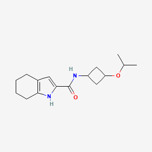 molecular formula C16H24N2O2 B6799795 N-(3-propan-2-yloxycyclobutyl)-4,5,6,7-tetrahydro-1H-indole-2-carboxamide 