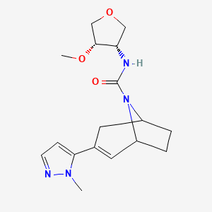 molecular formula C17H24N4O3 B6800809 N-[(3S,4S)-4-methoxyoxolan-3-yl]-3-(2-methylpyrazol-3-yl)-8-azabicyclo[3.2.1]oct-2-ene-8-carboxamide 