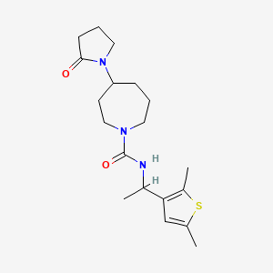 molecular formula C19H29N3O2S B6802357 N-[1-(2,5-dimethylthiophen-3-yl)ethyl]-4-(2-oxopyrrolidin-1-yl)azepane-1-carboxamide 