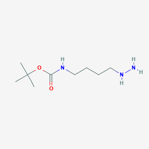 molecular formula C9H21N3O2 B068053 Carbamic acid, (4-hydrazinobutyl)-, 1,1-dimethylethyl ester (9CI) CAS No. 180851-51-8