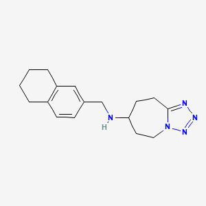 molecular formula C17H23N5 B6807791 N-(5,6,7,8-tetrahydronaphthalen-2-ylmethyl)-6,7,8,9-tetrahydro-5H-tetrazolo[1,5-a]azepin-7-amine 