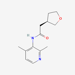 molecular formula C13H18N2O2 B6811479 N-(2,4-dimethylpyridin-3-yl)-2-[(3R)-oxolan-3-yl]acetamide 