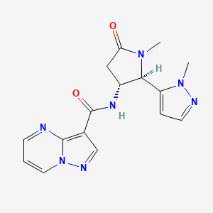molecular formula C16H17N7O2 B6860245 N-[(2R,3R)-1-methyl-2-(2-methylpyrazol-3-yl)-5-oxopyrrolidin-3-yl]pyrazolo[1,5-a]pyrimidine-3-carboxamide 
