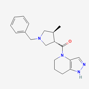 molecular formula C19H24N4O B6861420 [(3S,4S)-1-benzyl-4-methylpyrrolidin-3-yl]-(1,5,6,7-tetrahydropyrazolo[4,3-b]pyridin-4-yl)methanone 