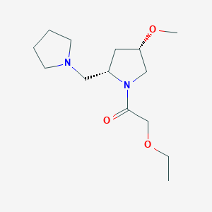 molecular formula C14H26N2O3 B6861633 2-ethoxy-1-[(2S,4S)-4-methoxy-2-(pyrrolidin-1-ylmethyl)pyrrolidin-1-yl]ethanone 