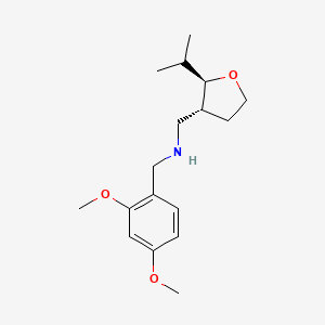 molecular formula C17H27NO3 B6870930 N-[(2,4-dimethoxyphenyl)methyl]-1-[(2R,3R)-2-propan-2-yloxolan-3-yl]methanamine 