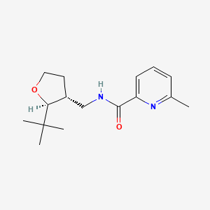 molecular formula C16H24N2O2 B6874823 N-[[(2S,3R)-2-tert-butyloxolan-3-yl]methyl]-6-methylpyridine-2-carboxamide 