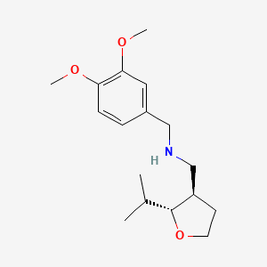 molecular formula C17H27NO3 B6875310 N-[(3,4-dimethoxyphenyl)methyl]-1-[(2R,3R)-2-propan-2-yloxolan-3-yl]methanamine 